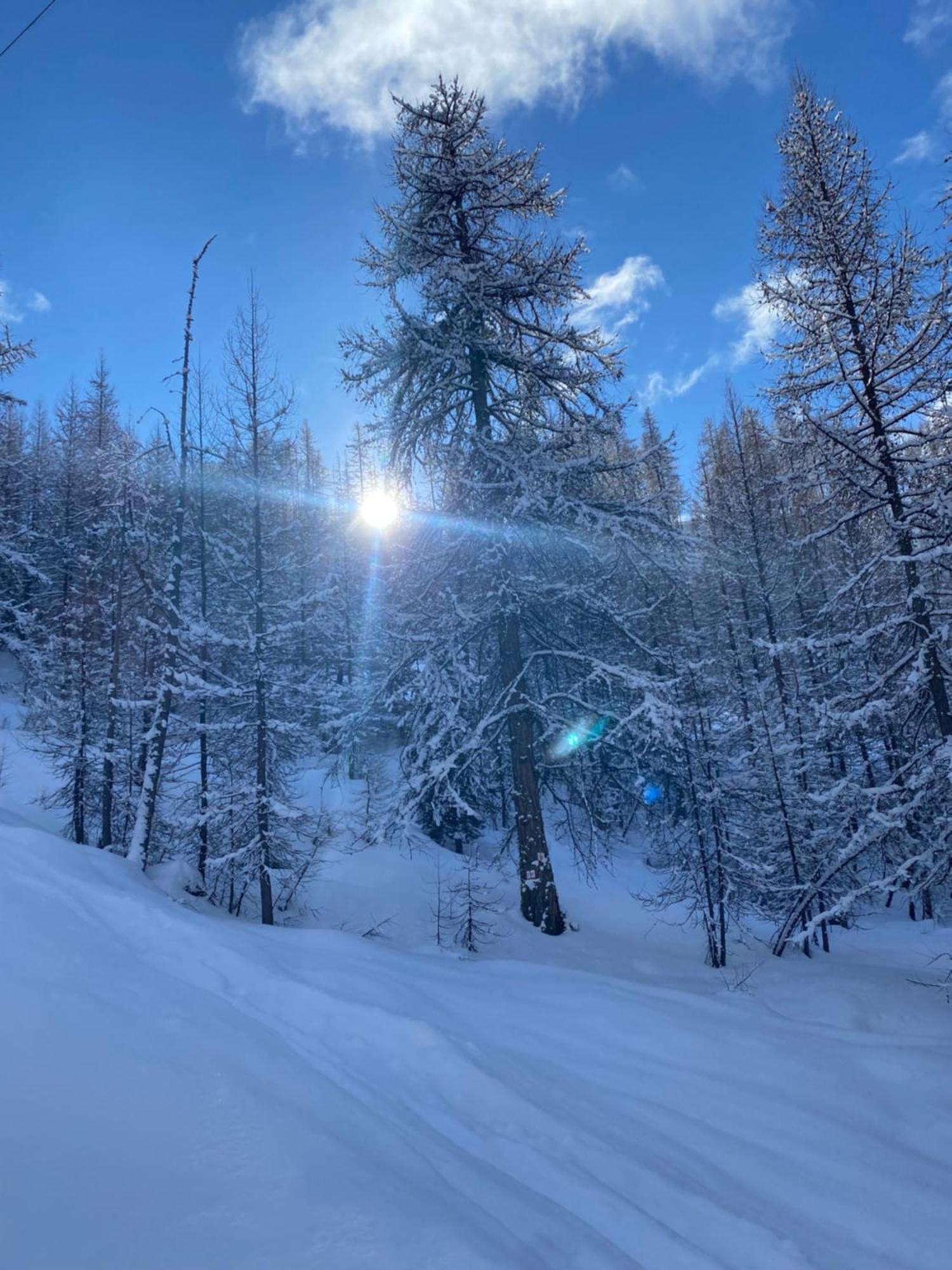 Le Chalet Des Sommets Arvieux Luaran gambar